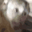 MonkeyEvilLaugh