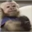 SamyJeje