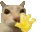 dosehiii