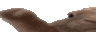 wideVIBE