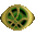 Timestone
