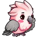 CheekyOzzie - Galah