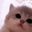 kittyJam
