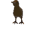 KiwiSpin