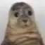 emm