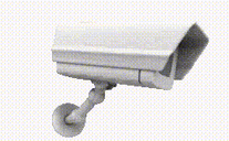 nyakoVR - CaughtIn4K