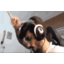 gif4