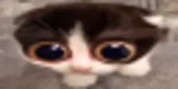 Maaylen - MONKA