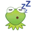 kermitSleep