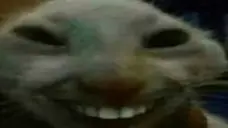 AcselitoPo - xdd