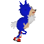 SanicRun