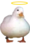 HolyDuck