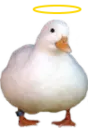 HolyDuck