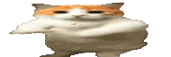 widetime2