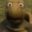 turtlehuh