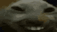 Xpchiza