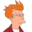 Fry