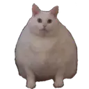 fatcat