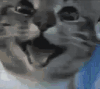 AcselitoPo - catSmile