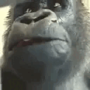 AcselitoPo - monkeWait