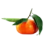 Clementine