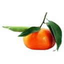 Gabriel_Grinchy_TDR - Clementine