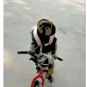 AcselitoPo - SamyBike