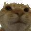 Nono