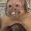 MonkeyMoney