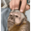 SamyChill