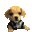 bork