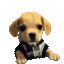 bork