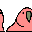 Conga