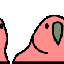 Conga