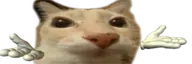 yonose