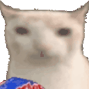AcselitoPo - veryCat