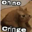 catOhNoCringe