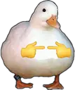 StawwwwpItquack