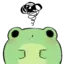 froggyFrustated